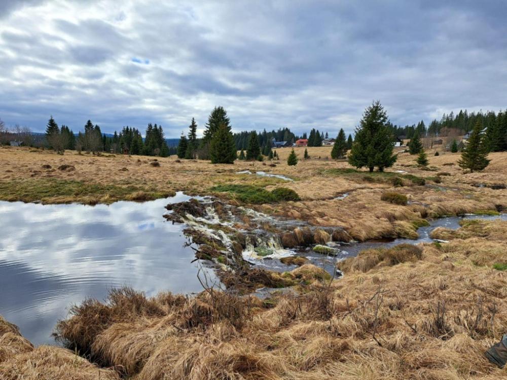 Ubytovani U Krizku Modrava Esterno foto