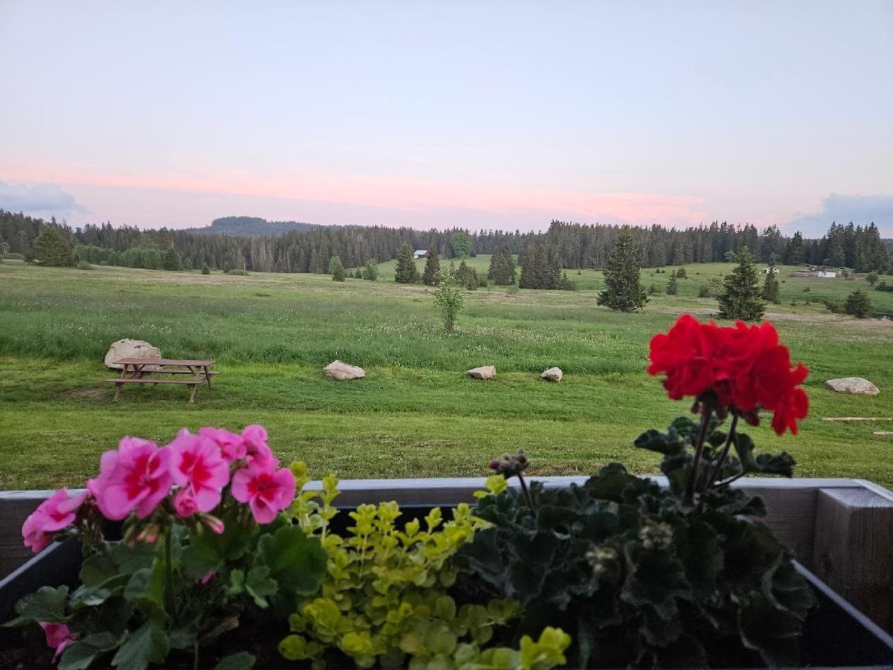 Ubytovani U Krizku Modrava Esterno foto