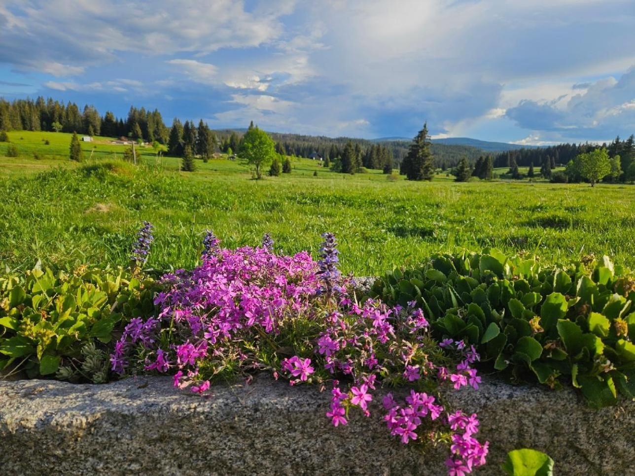 Ubytovani U Krizku Modrava Esterno foto